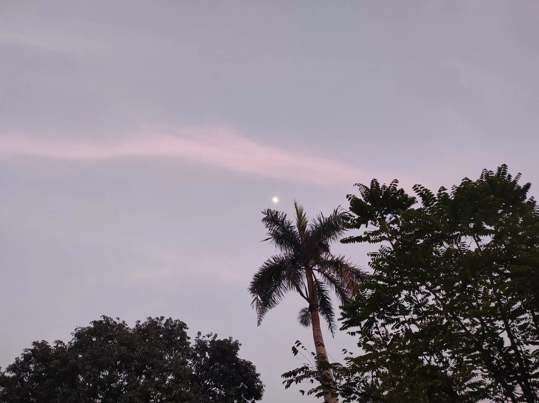 Cover Image of Ayushi Negi