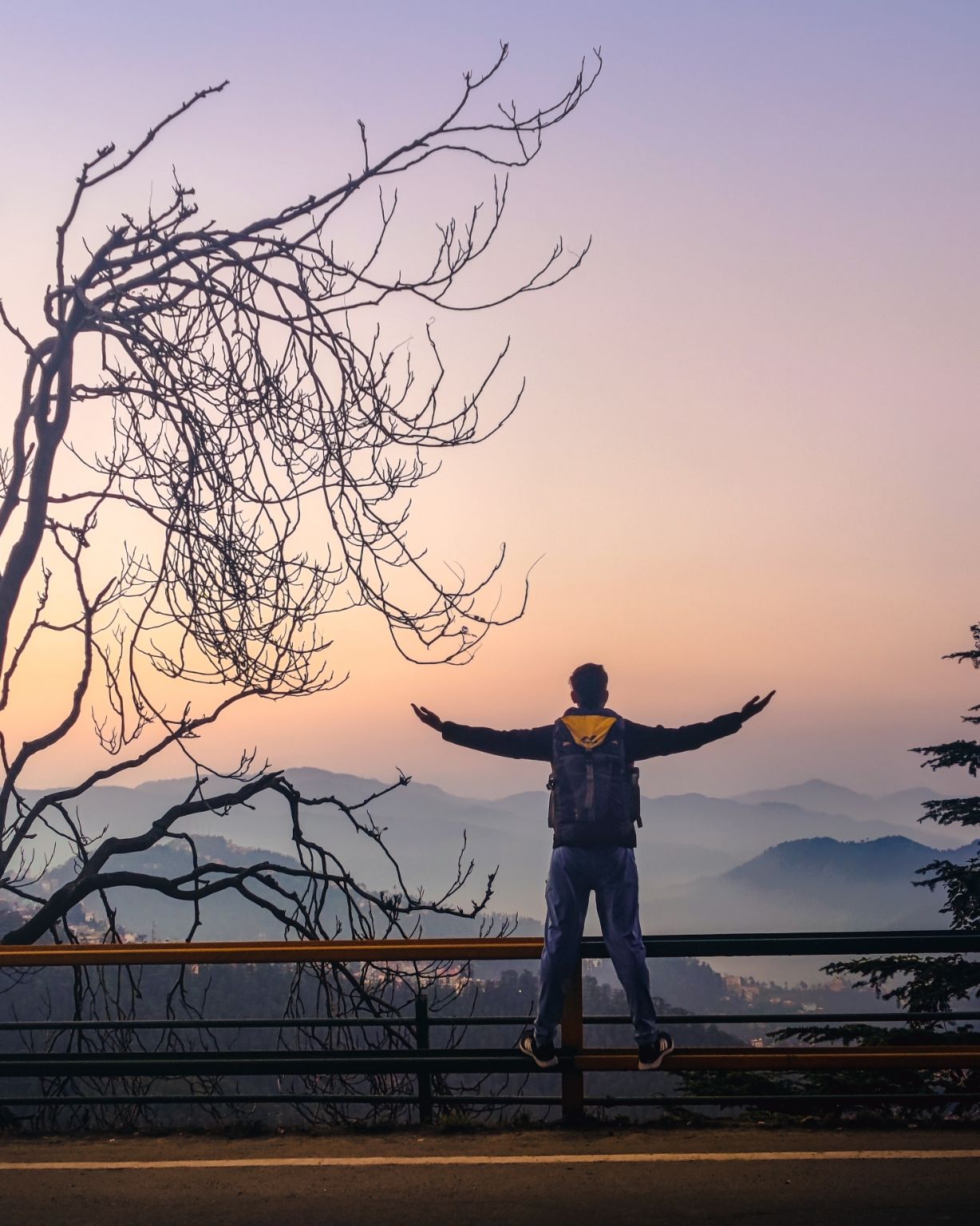 Cover Image of Shaurya Bhardwaj