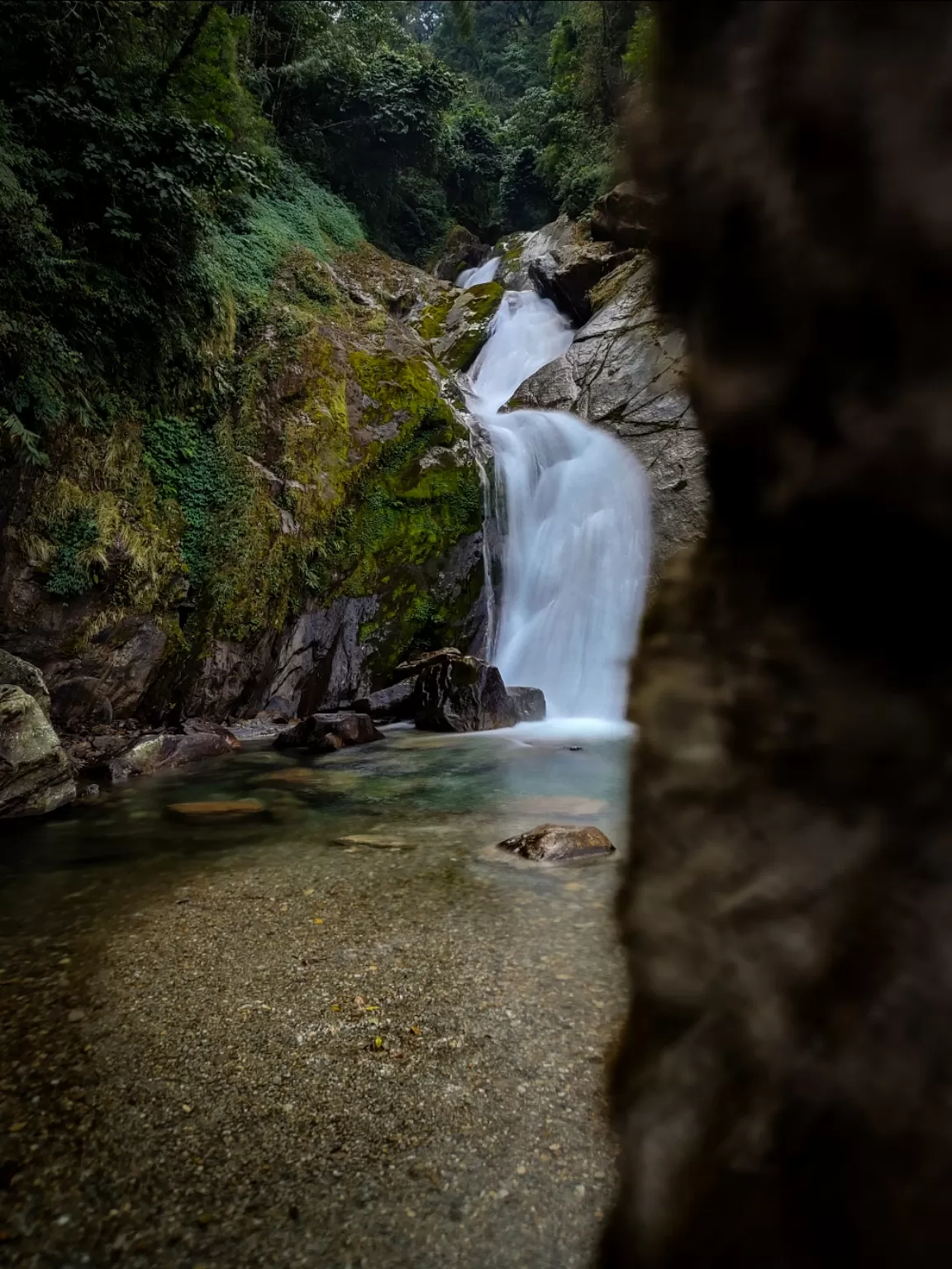 Cover Image of Shobhit Raj