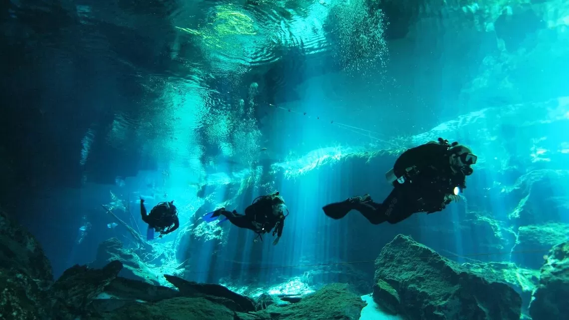 Cover Image of Petro Divers