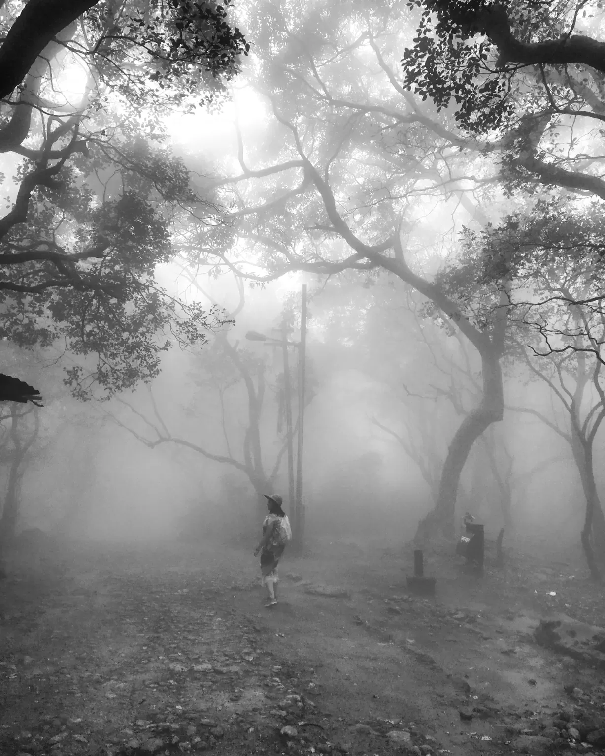 Cover Image of Akanksha Singh