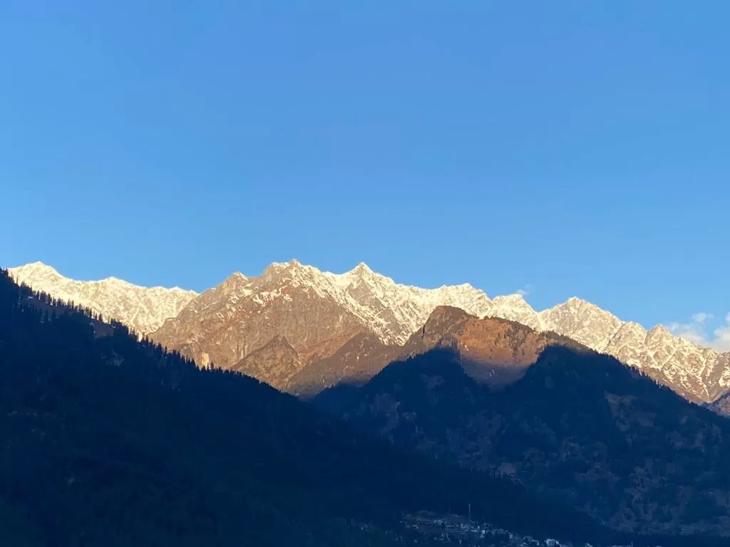 Cover Image of Reshi Sharma