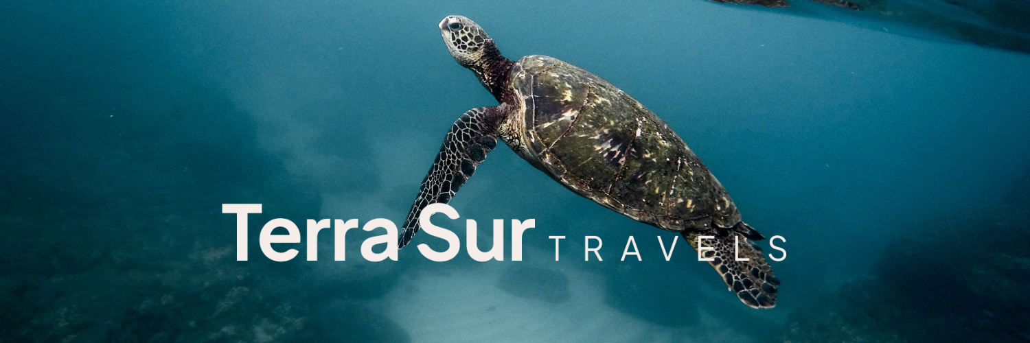 Cover Image of Terra Sur Travels