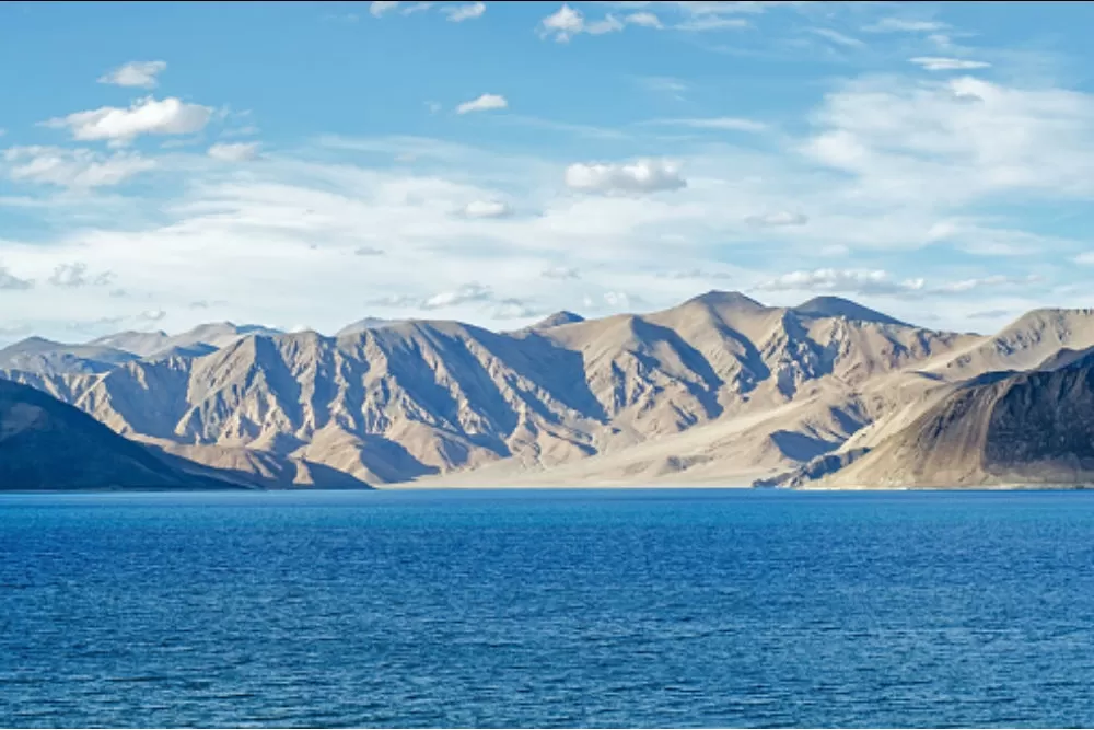 Cover Image of Ravi Sharma