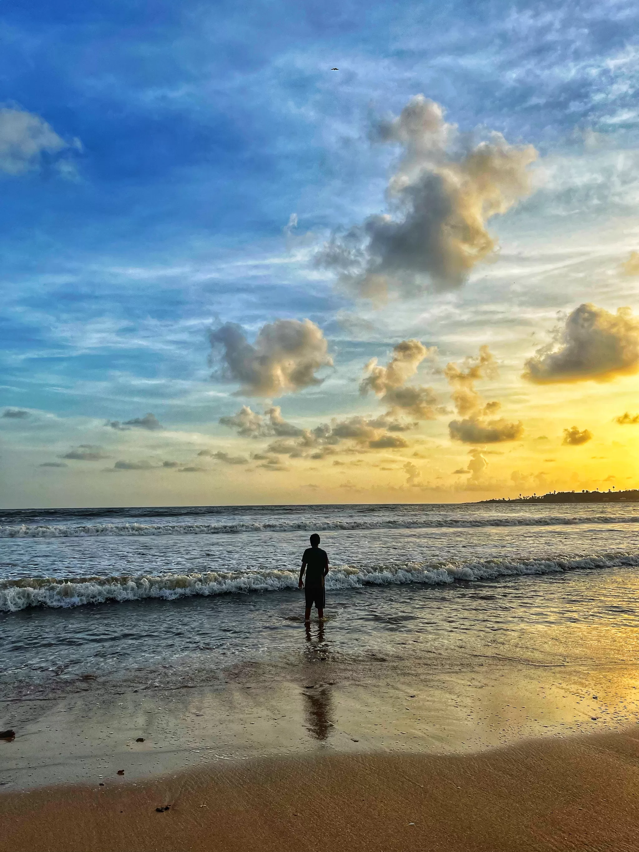 Cover Image of Sneha Mishra