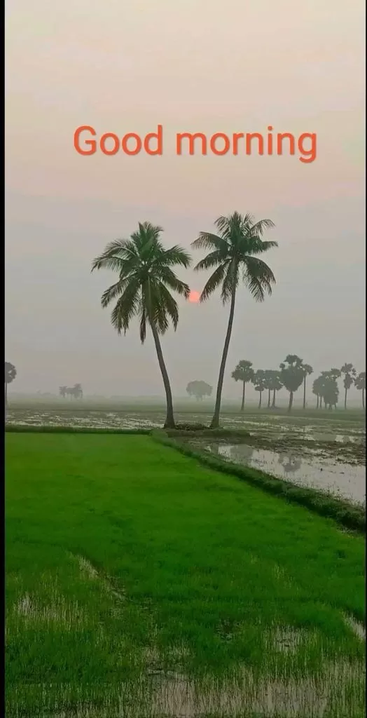 Cover Image of Puttaraju AN