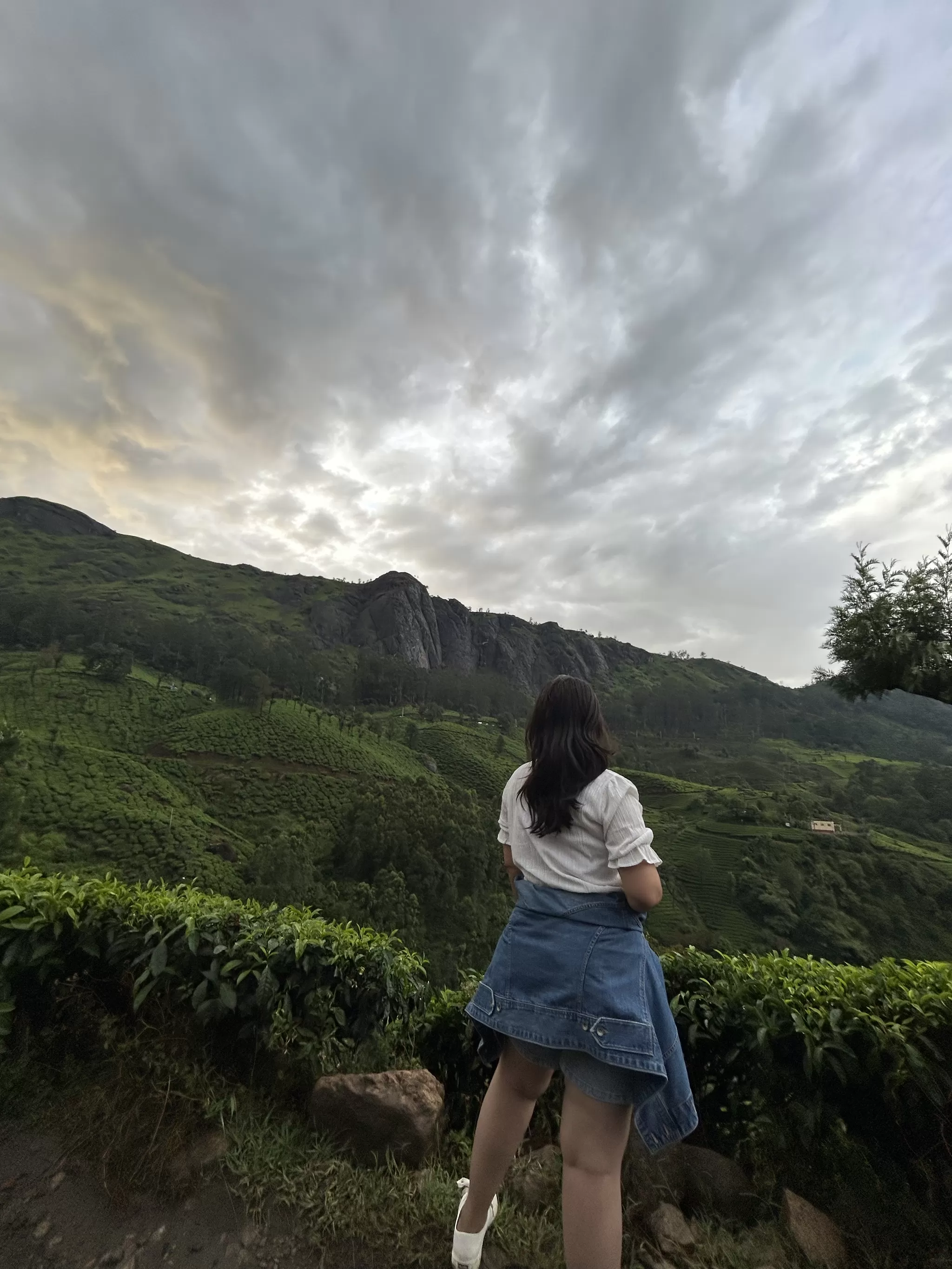 Cover Image of Anushree Sharma