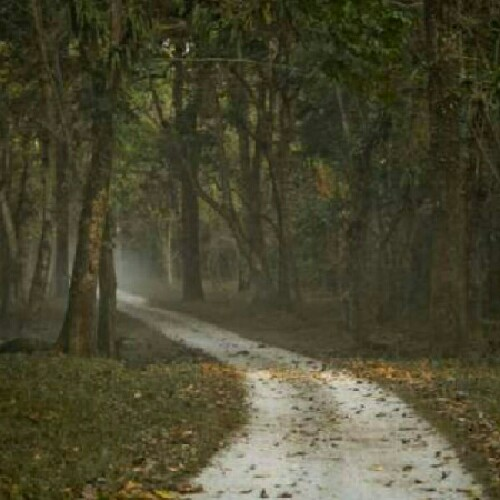 Cover Image of Shruti Verma