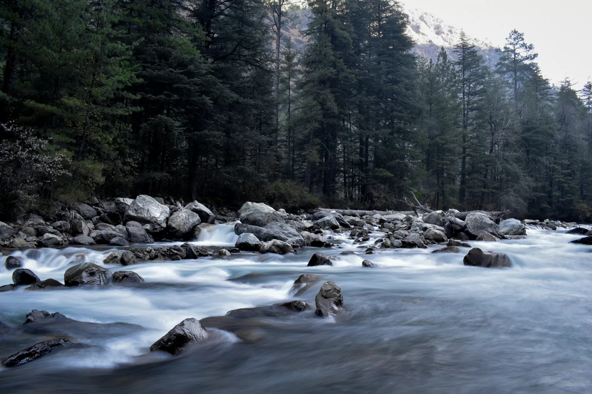 Cover Image of Antrix Chadha