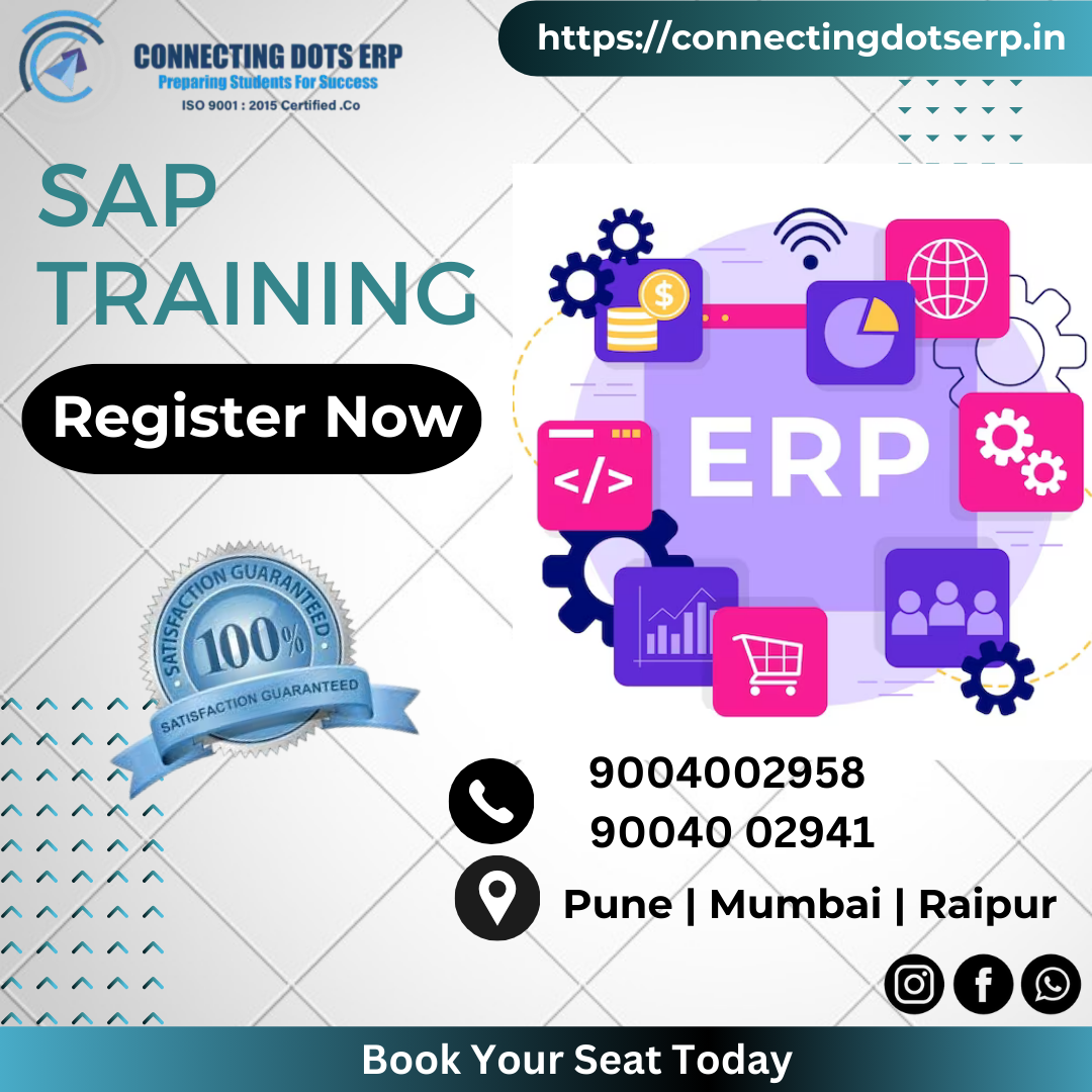 Cover Image of Connecting Dots ERP
