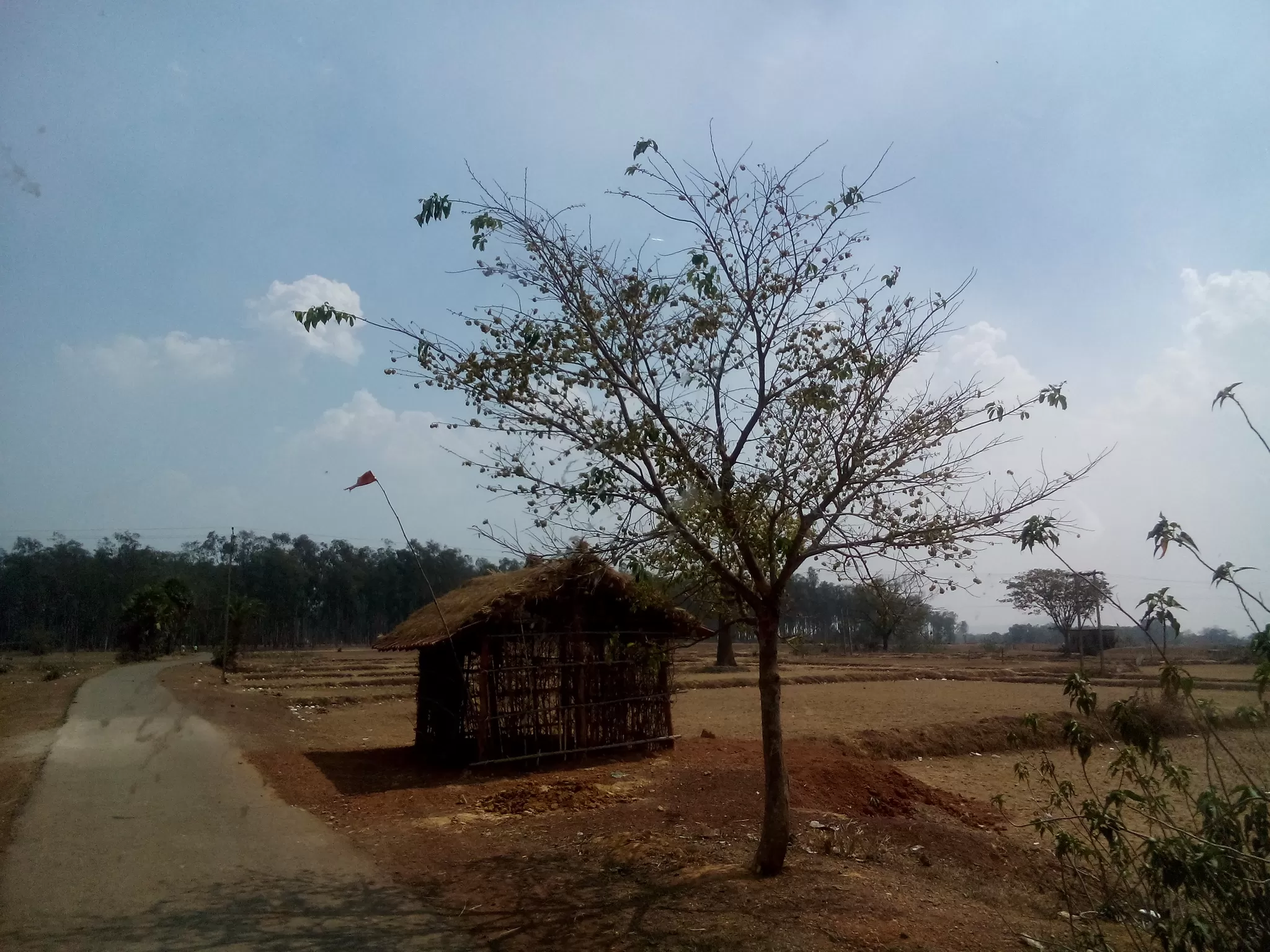 Cover Image of Grishma Putran