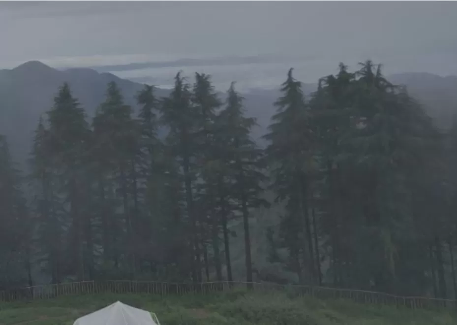 Cover Image of Royal Residency Dhanaulti
