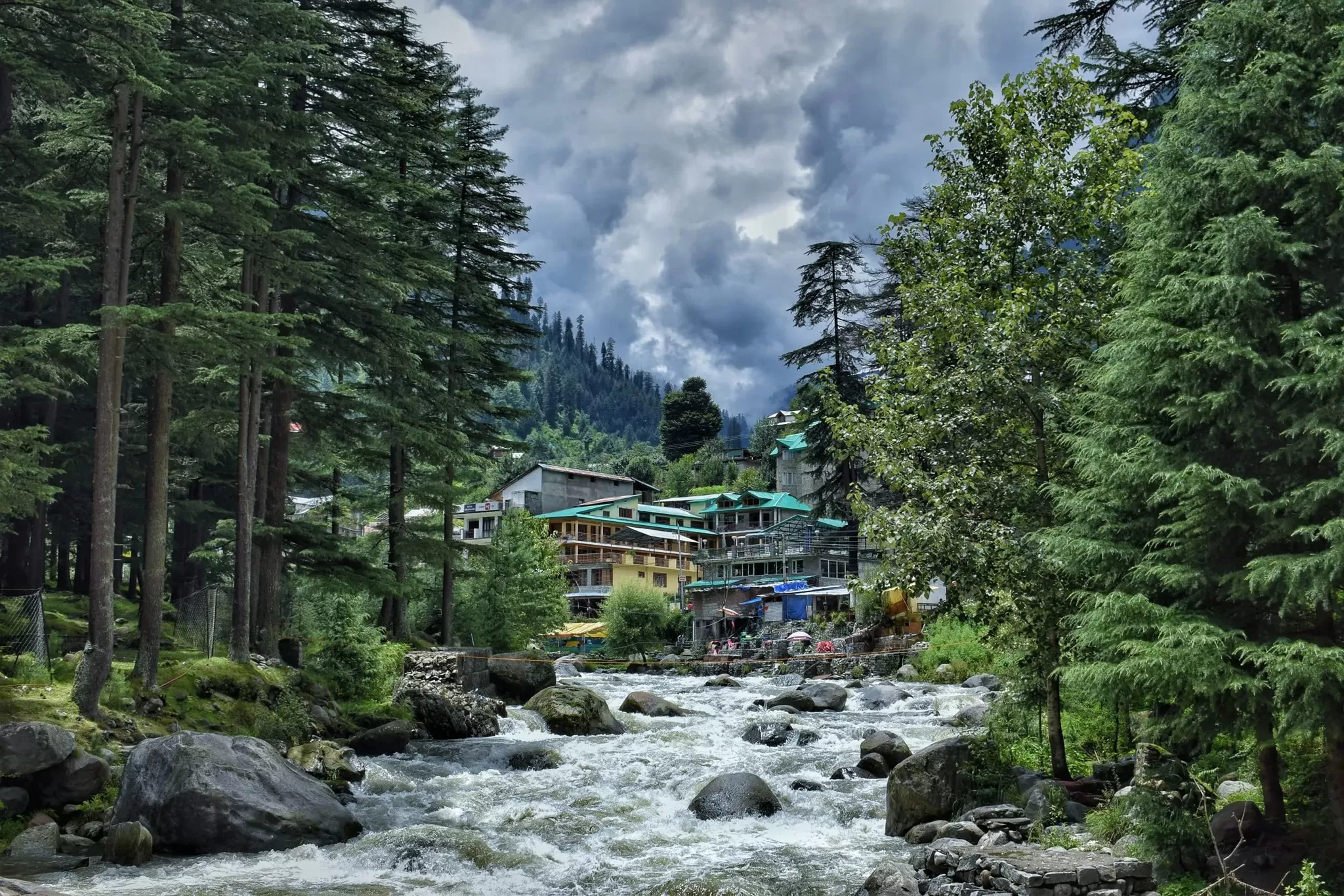 Cover Image of Manidipta Palit
