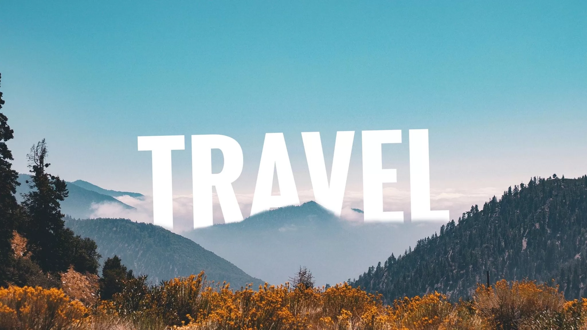 Cover Image of tafri travels