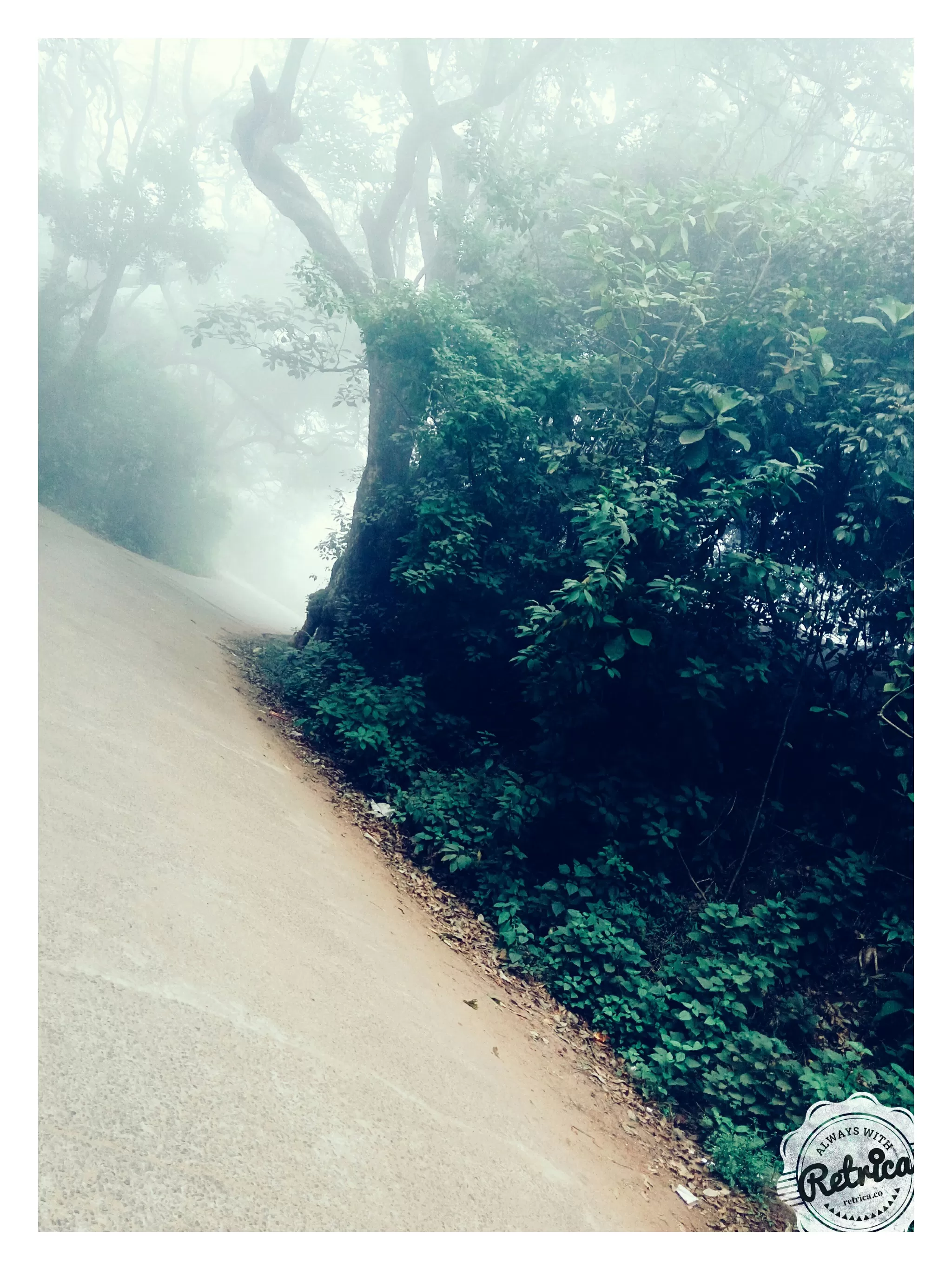 Cover Image of Prerna Khaitan