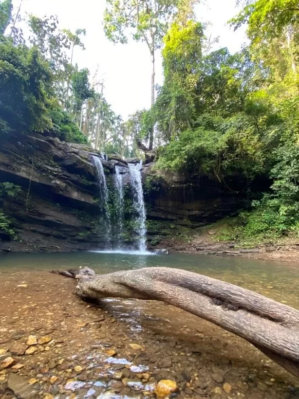 Cover Image of Namratha Nandish