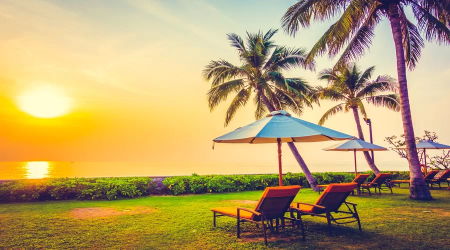 Cover Image of Trip Chronicles