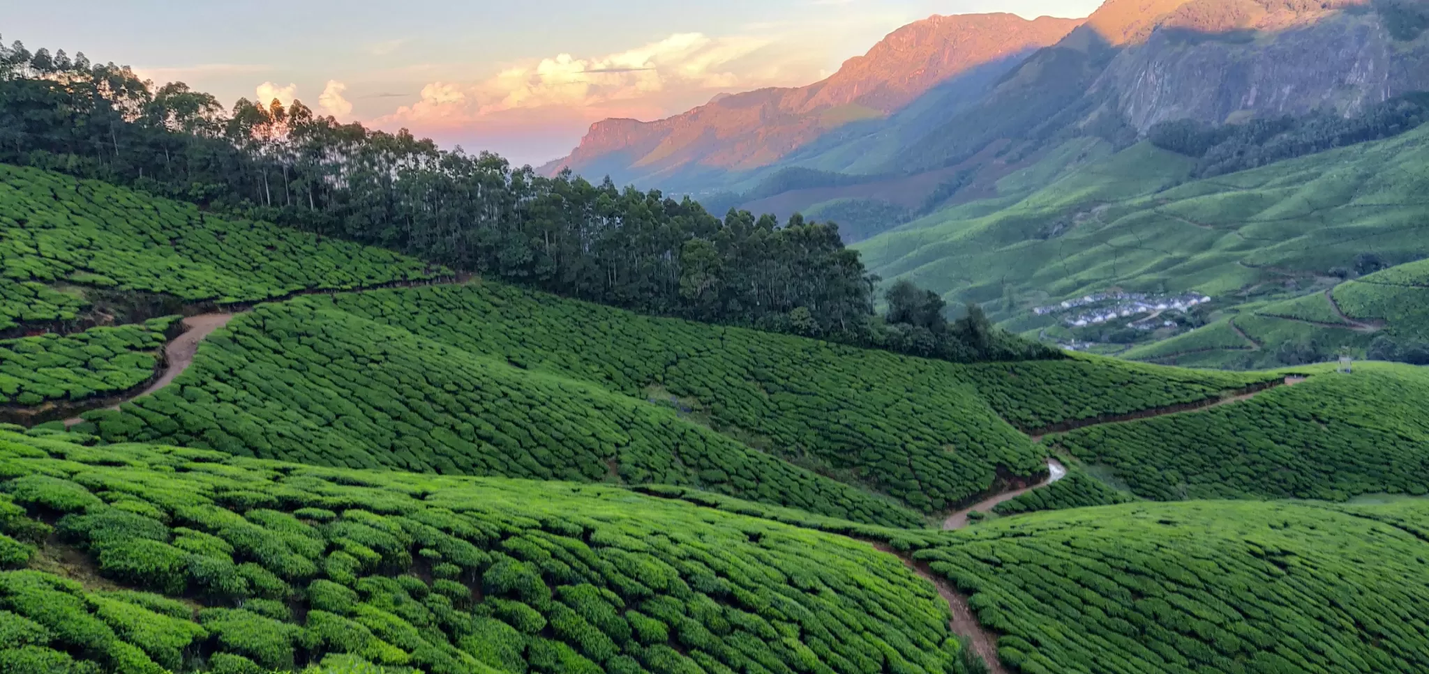 Cover Image of Francis Jose