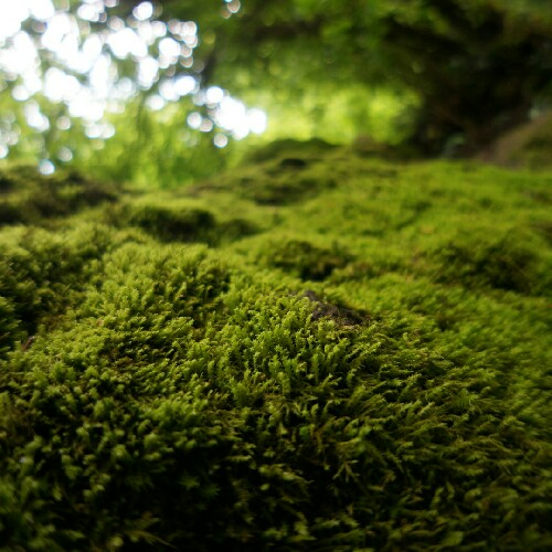 Cover Image of Gökhan Faruk Ünal