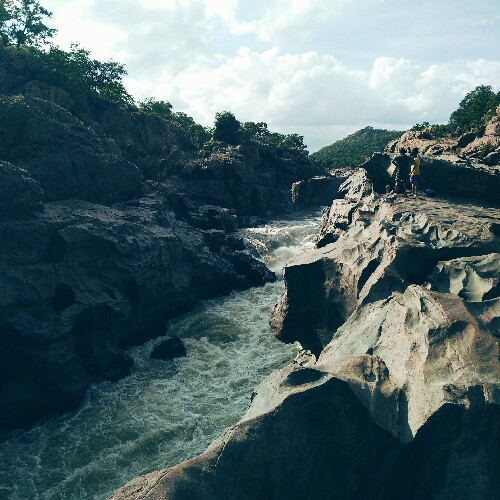 Cover Image of Vijay S