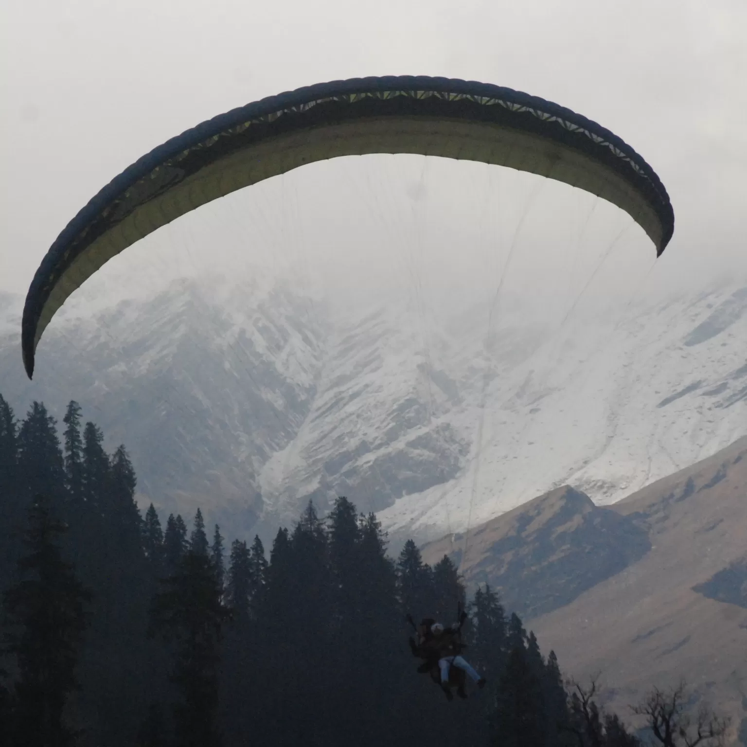 Cover Image of Japneet Singh