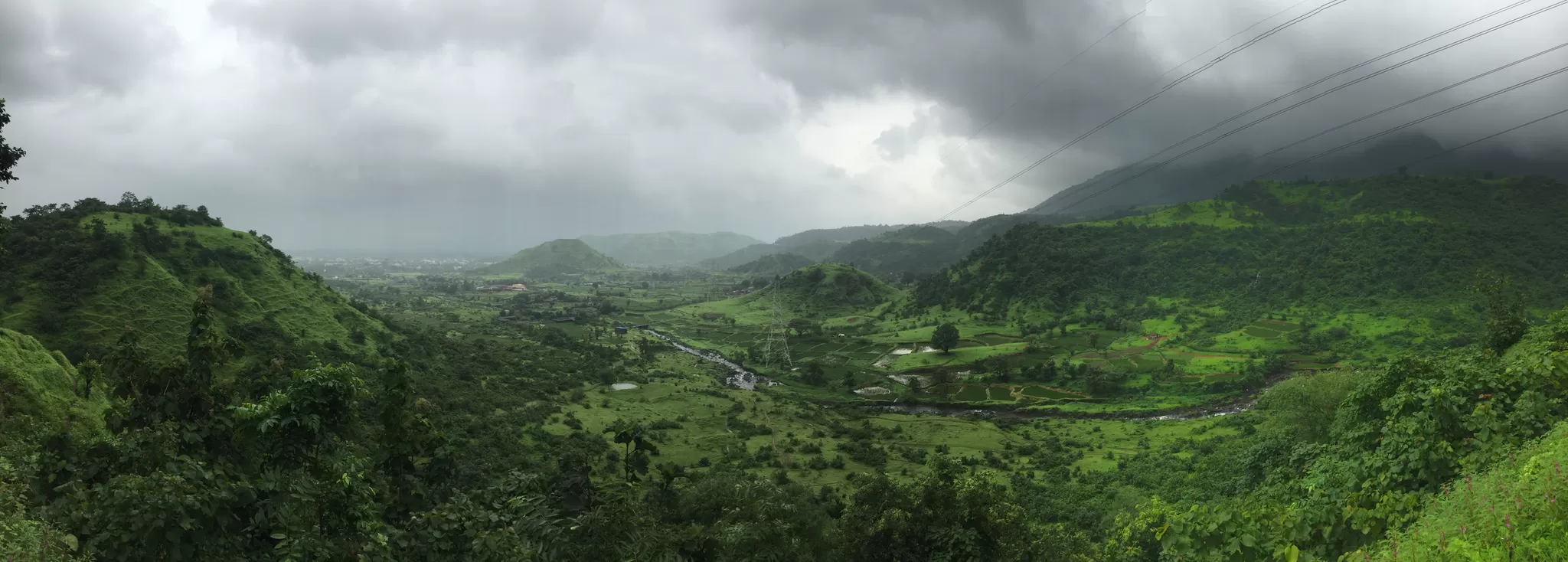 Cover Image of PK Bishoyi