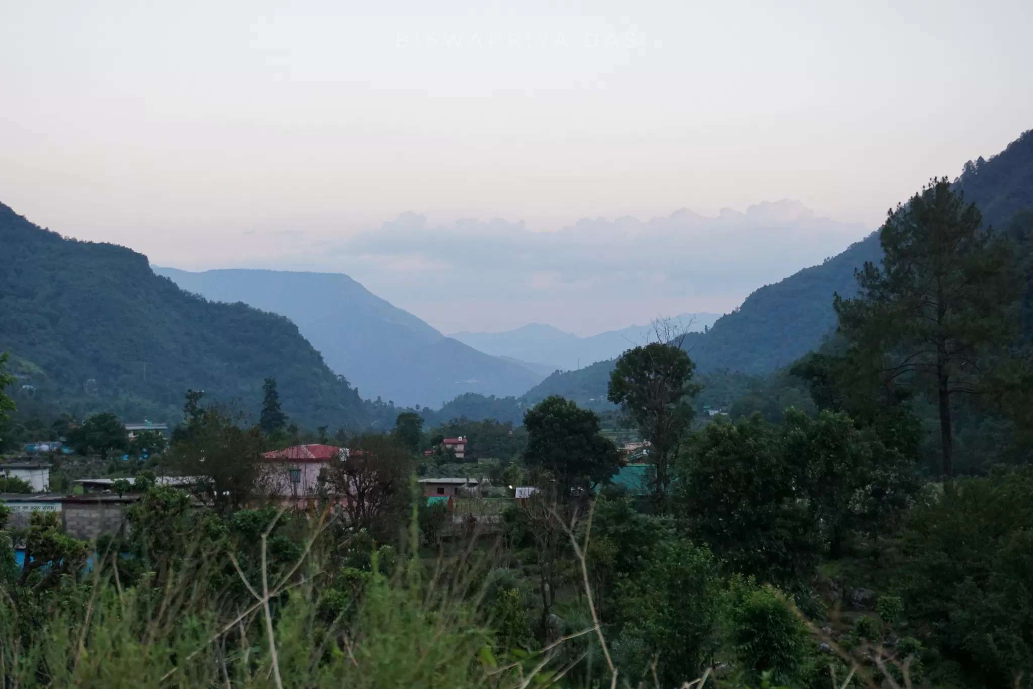 Cover Image of Biswapriya Das
