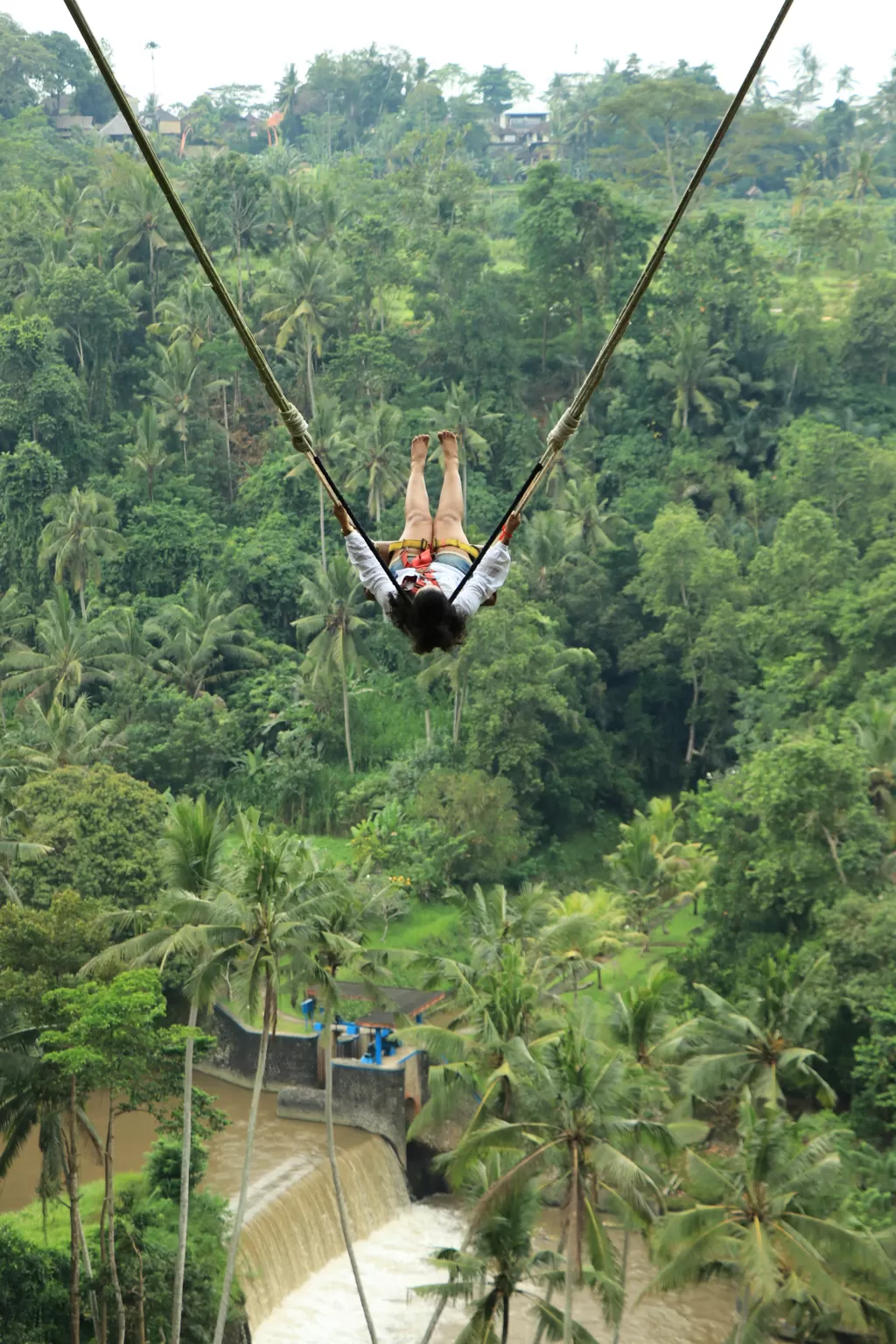 Cover Image of Albeli