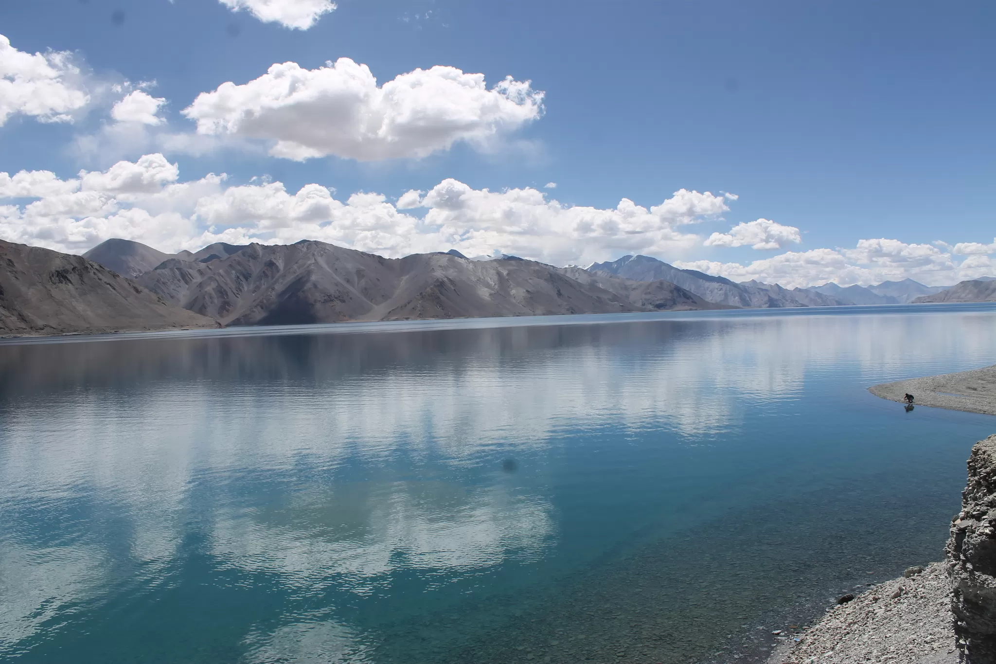 Cover Image of Meditatingwanderer