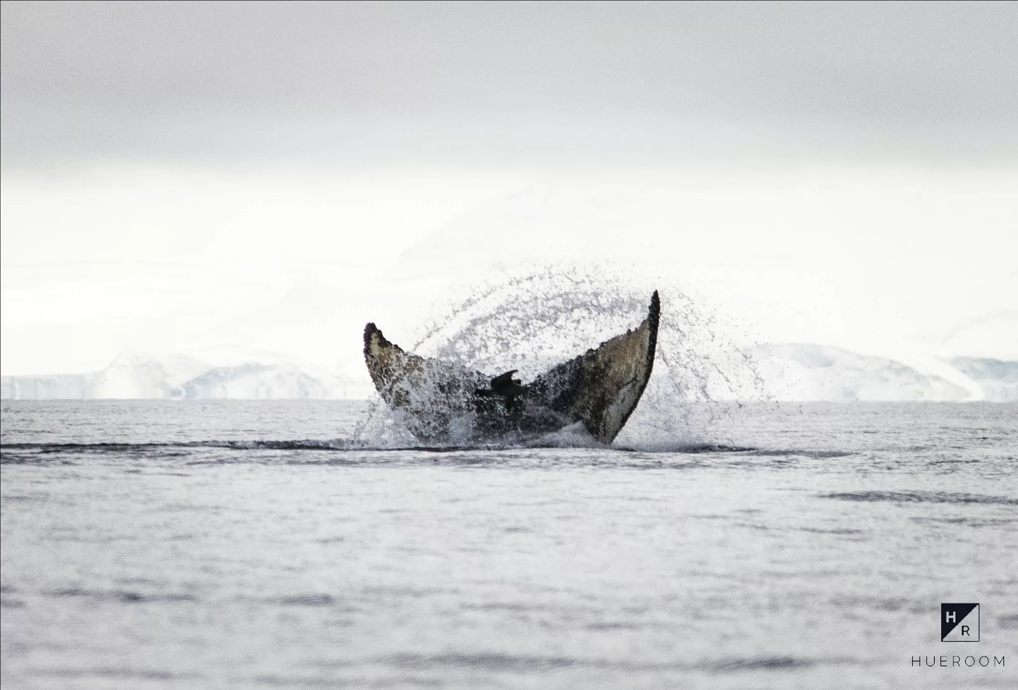 Cover Image of sanchit gupta