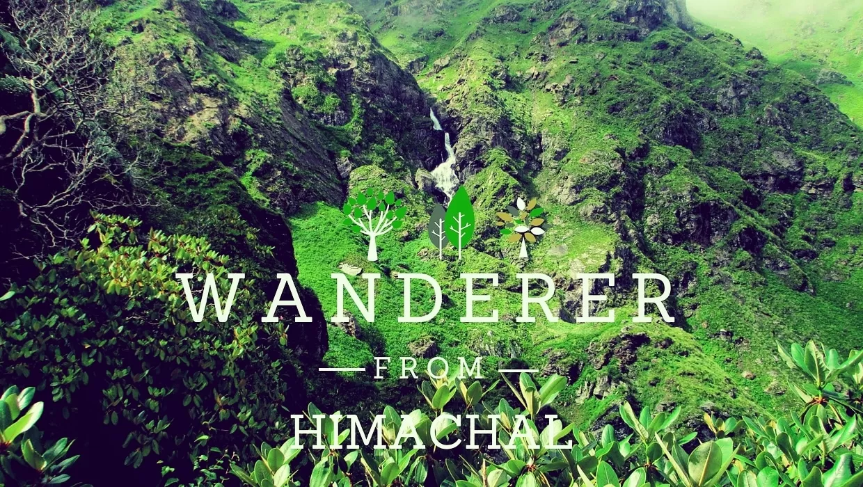 Cover Image of Wanderer From Himachal 