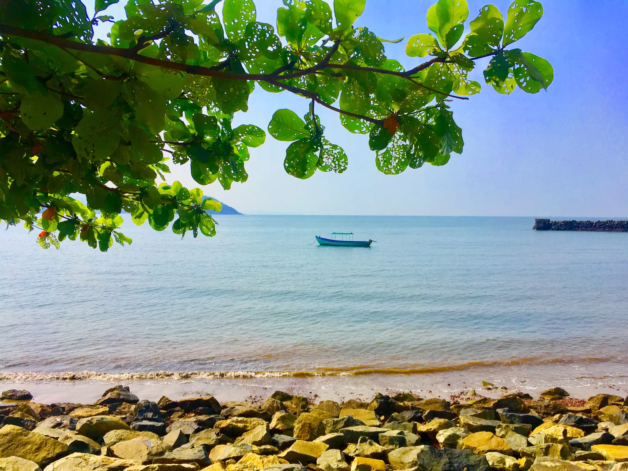Cover Image of Murali Pachiappan