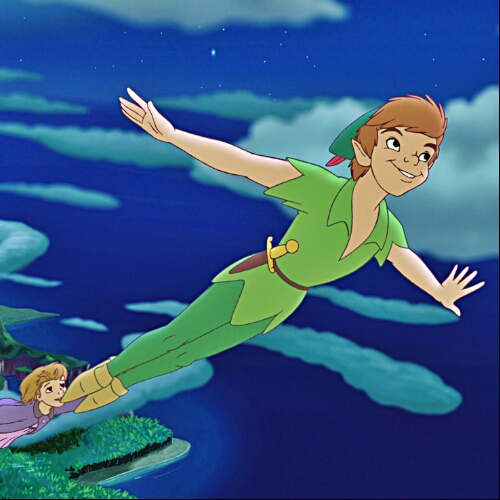 Cover Image of Tani Mcfly