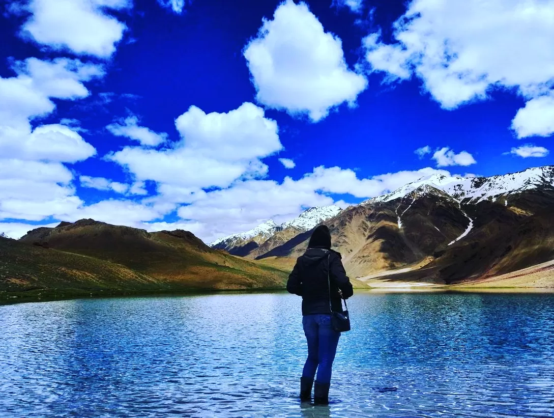 Cover Image of ritika gaur