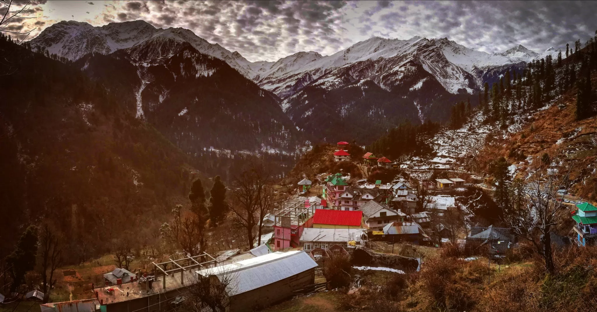 Cover Image of Siddharth Vashishtha