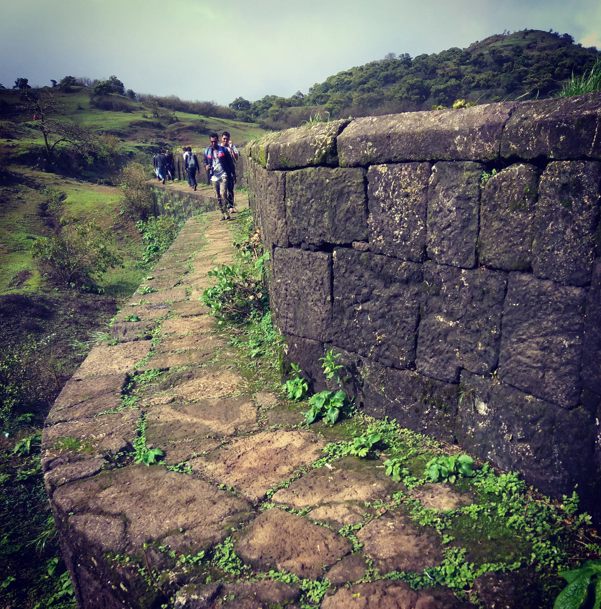 Cover Image of ashik