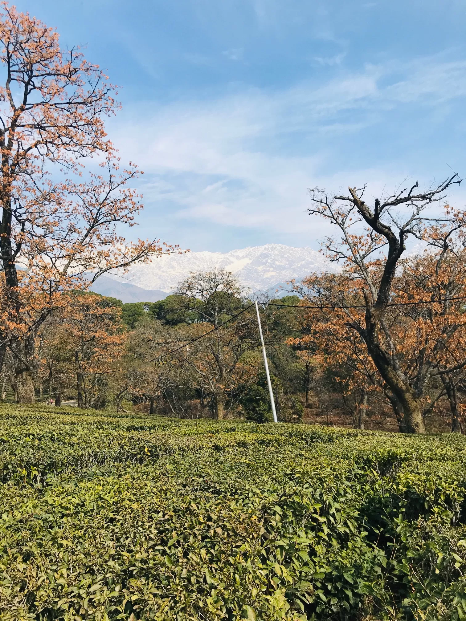 Cover Image of Yoganand