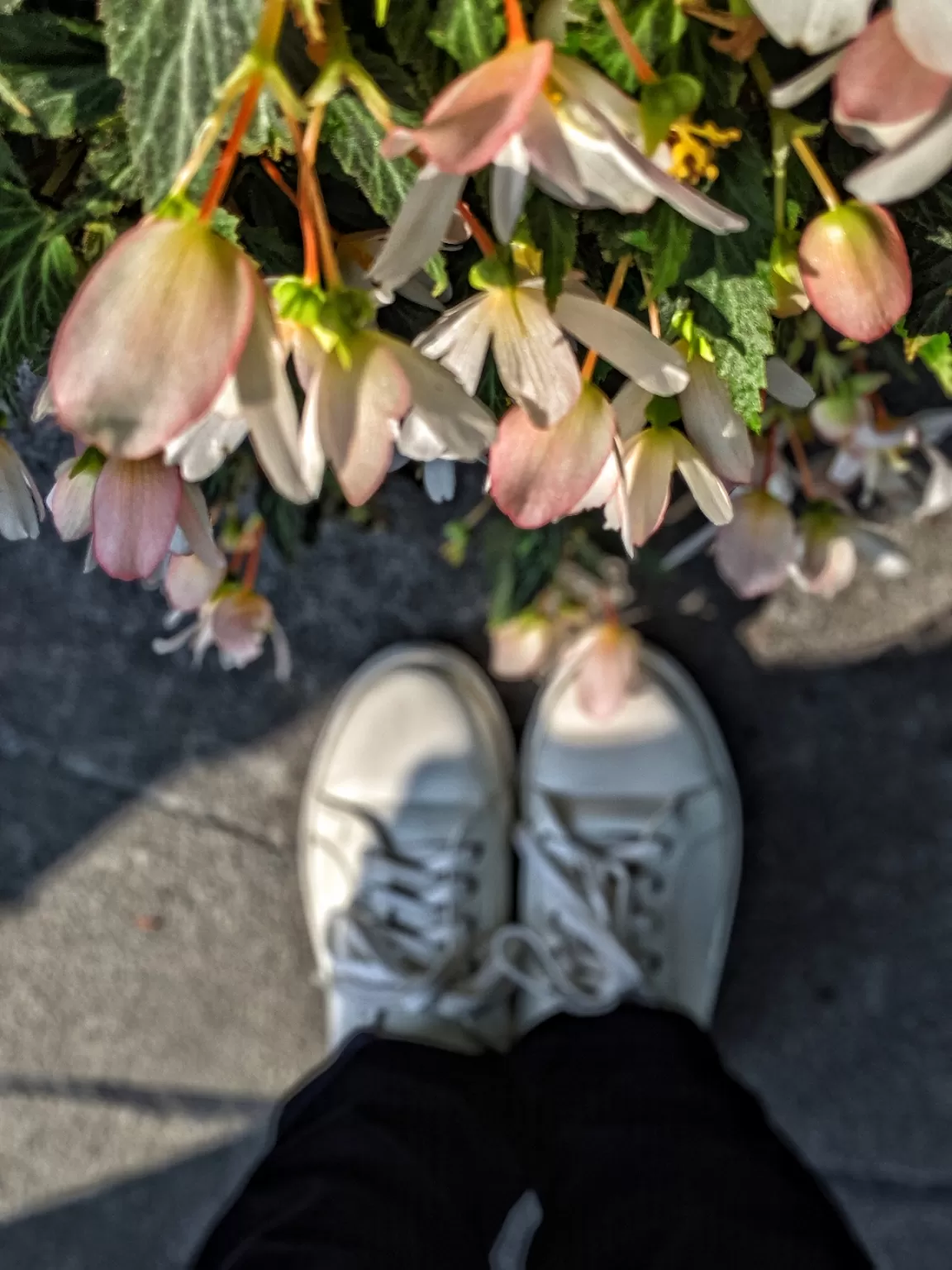 Cover Image of Bhagyashree Sudhakar