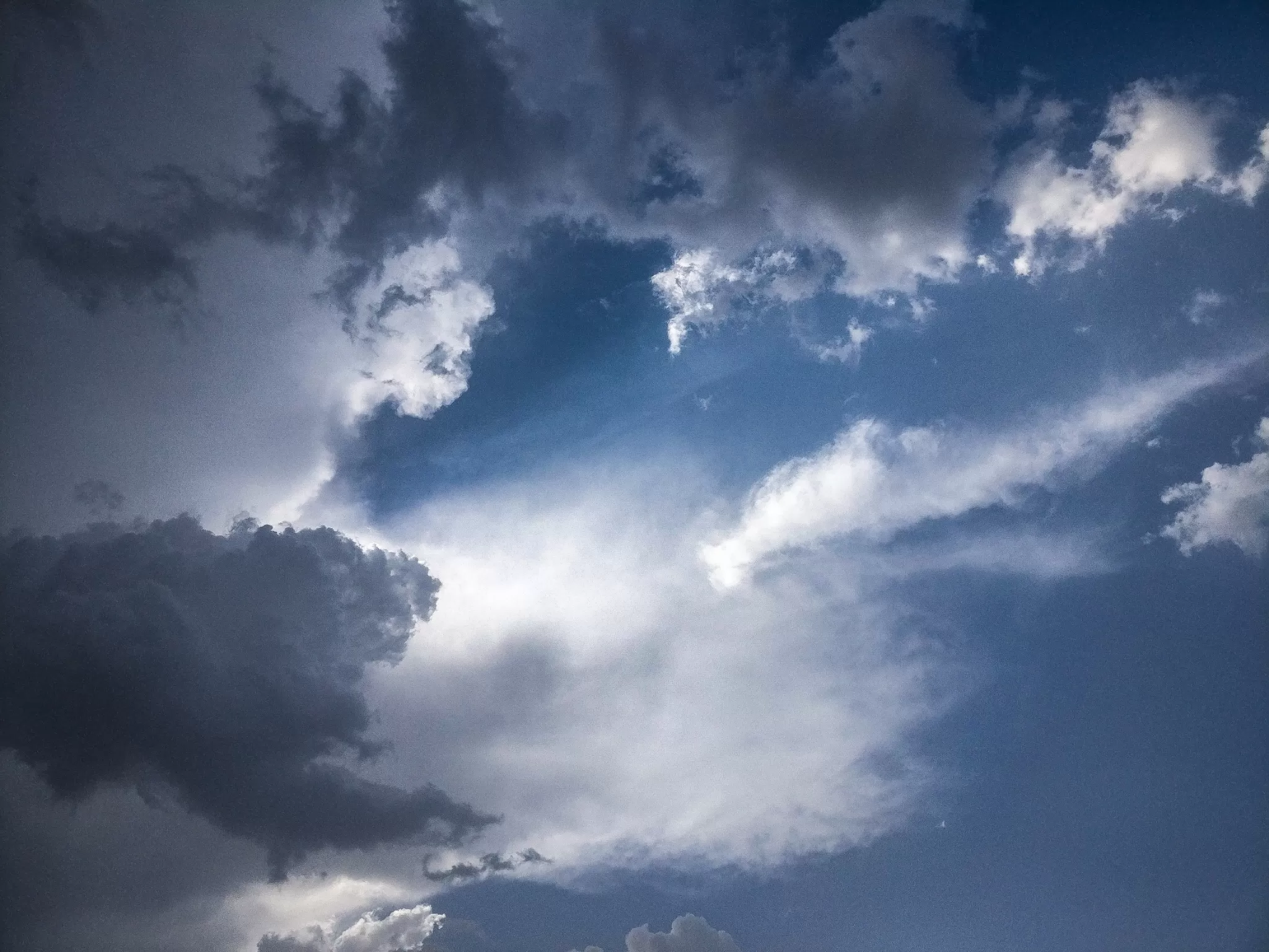 Cover Image of Varunika Sharma