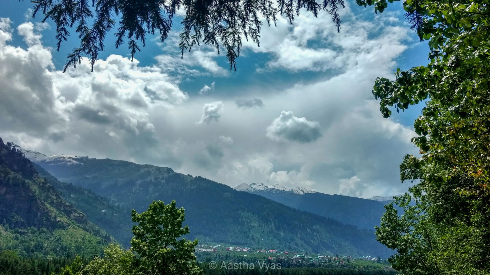 Cover Image of Aastha B. Vyas