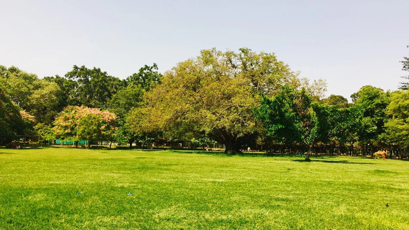 Cover Image of Prathap Javagal