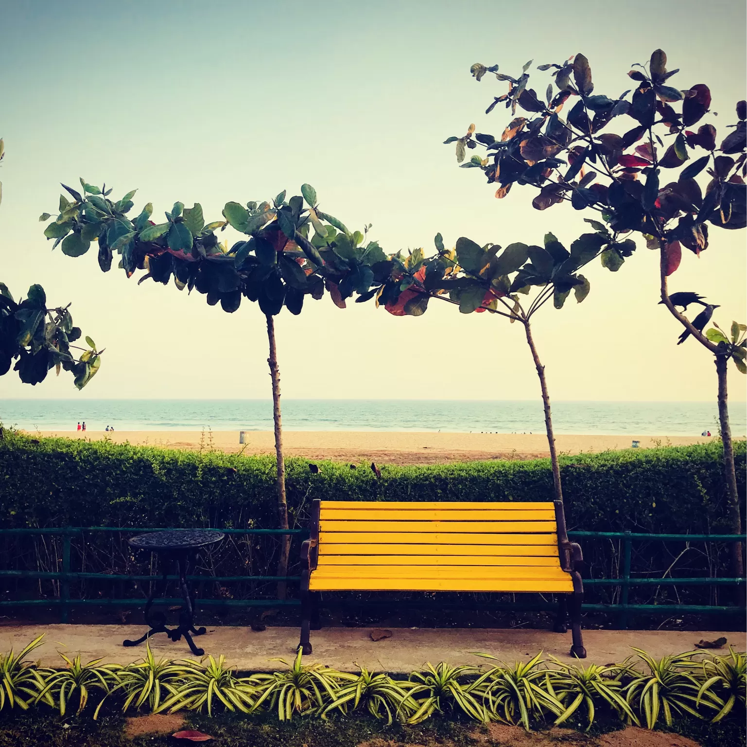 Cover Image of Manisha Patnaik