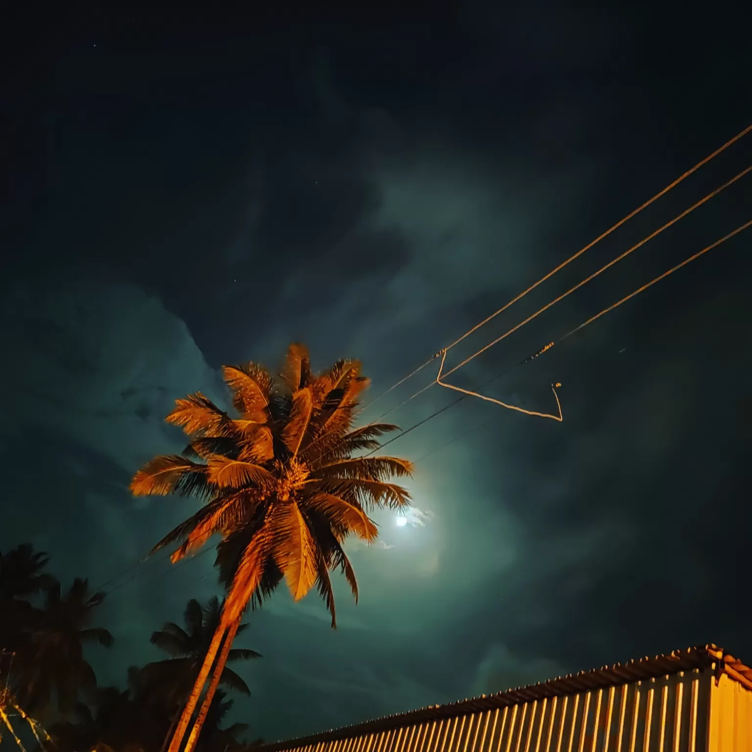 Cover Image of Sujit Panage