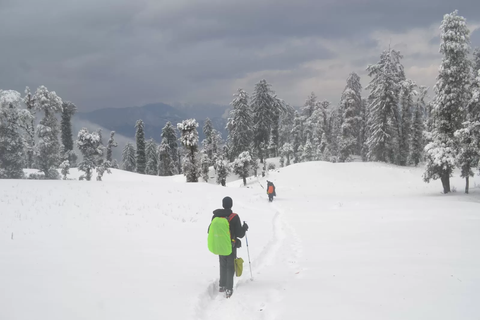 Cover Image of The_Budget_Backpacker