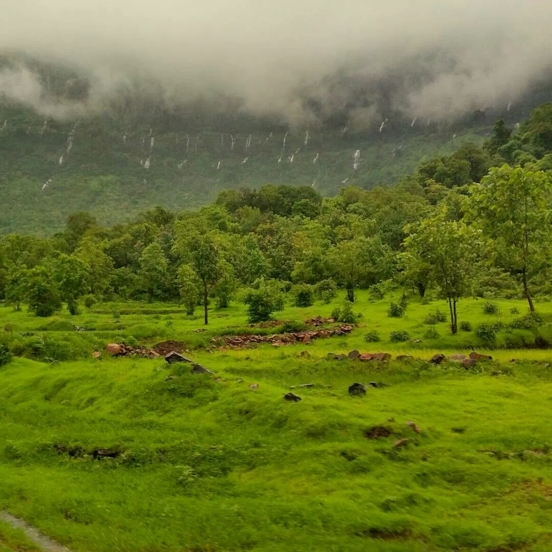 Cover Image of Amit Patra