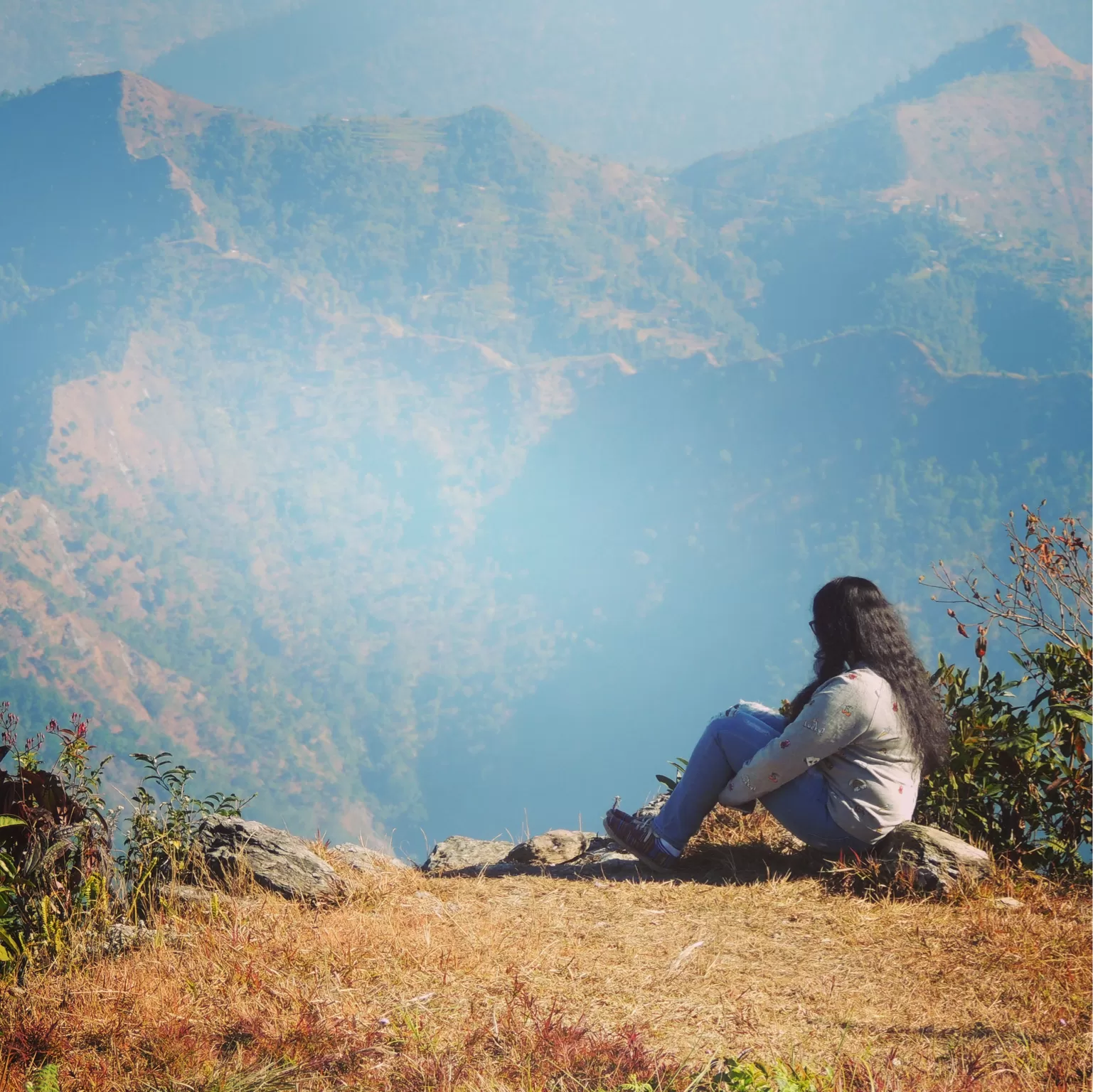 Cover Image of Mouli 