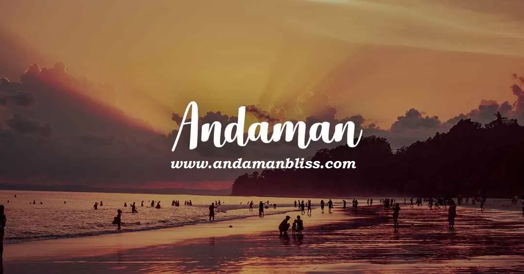 Cover Image of Andaman Bliss
