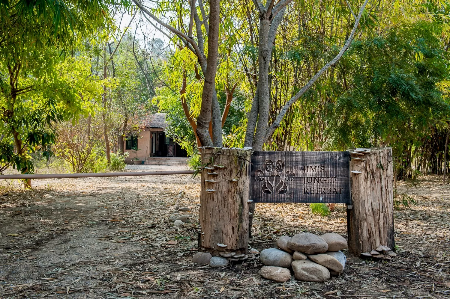 Cover Image of Jim's Jungle Retreat