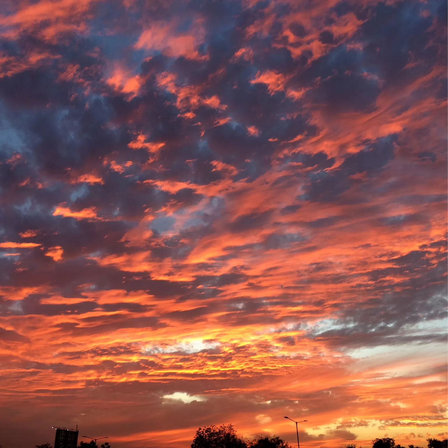 Cover Image of Kinzuu Thacker