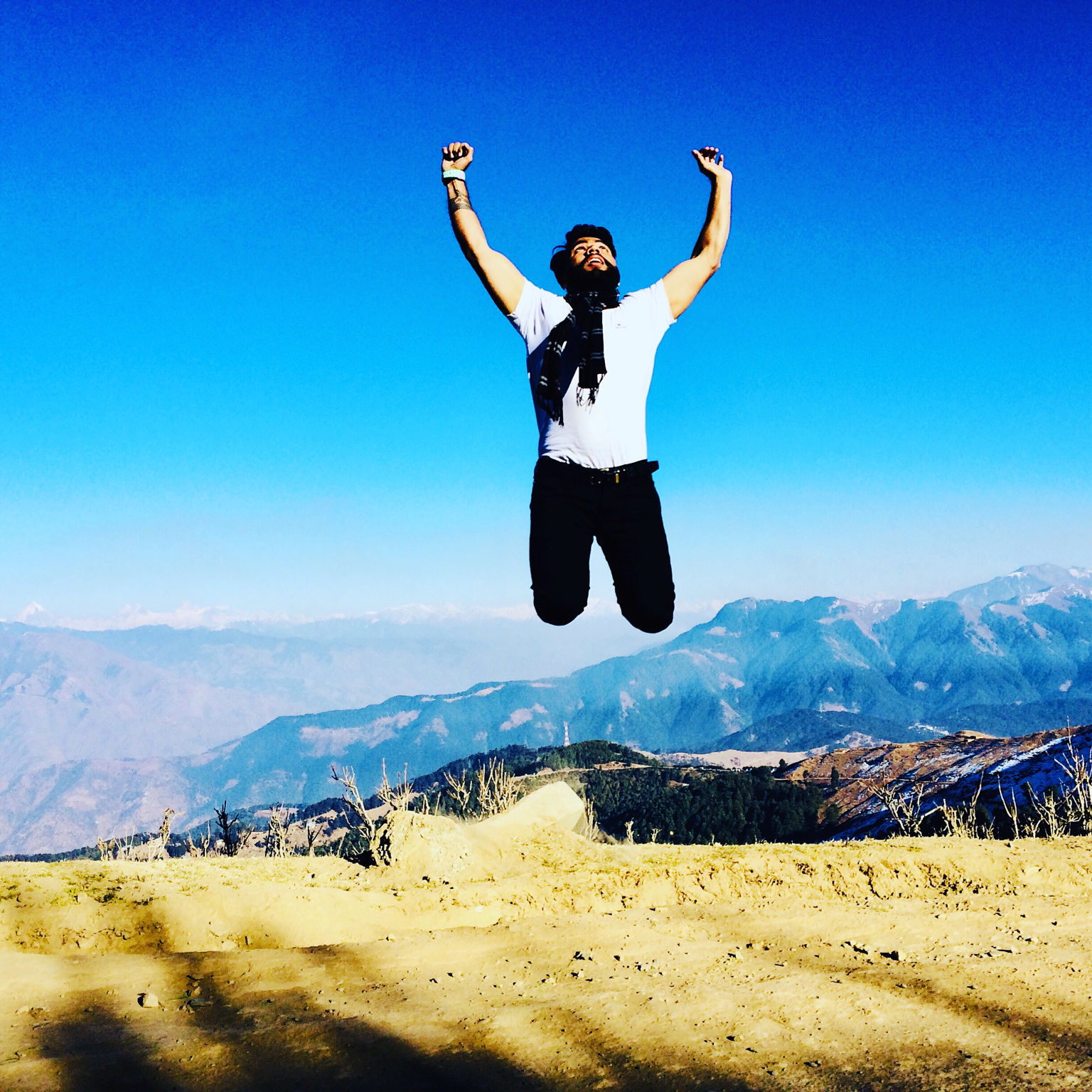 Cover Image of Beard Traveller